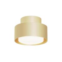 Накладные точечные светильники — Накладной светильник Maytoni Technical C092CL-GX53-MG купить в 