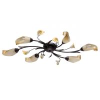 Люстры накладные — Накладная люстра MW-Light 242017006 купить в 