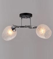 Потолочные люстры — 2462/2 анти-хром купить в 