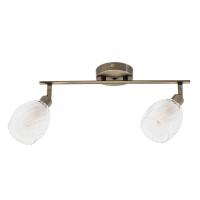 Споты — Спот ARTE Lamp A3184PL-2AB купить в  Споты — Спот ARTE Lamp A3184PL-2AB купить в