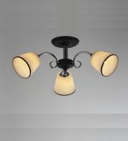 Потолочные люстры — 2697/3 темный купить в 