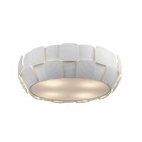 Потолочные люстры — Потолочная люстра Zumaline Sole C0317-04C-S8A1 купить в  Потолочные люстры — Потолочная люстра Zumaline Sole C0317-04C-S8A1 купить в