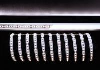 Светодиодные ленты — Лента светодиодная Deko-Light 2835-120-24V-6000K-5m 840124 купить в  Светодиодные ленты — Лента светодиодная Deko-Light 2835-120-24V-6000K-5m 840124 купить в