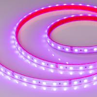 Светодиодные ленты — Лента Arlight 024587(2) купить в  Светодиодные ленты — Лента Arlight 024587(2) купить в