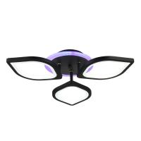 Потолочные люстры — Потолочная светодиодная люстра Seven Fires Танис 75226.01.14.03 купить в  Потолочные люстры — Потолочная светодиодная люстра Seven Fires Танис 75226.01.14.03 купить в