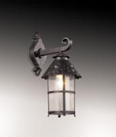 Уличные настенные светильники — Светильник настенный Odeon Light 2313/1W купить в 