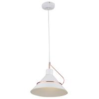 Подвесные светильники — Подвесной светильник Freya FR5025PL-01W купить в 