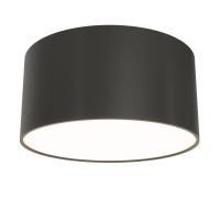 Накладные светильники — Накладной светильник Maytoni Technical C032CL-12W3K-RD-B купить в 