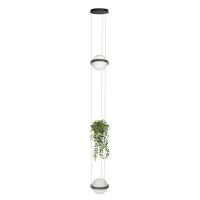 Подвесные светильники — Подвесной светильник LOFT IT 10121/2P Dark grey купить в 