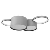 Накладные светильники — Накладной светильник LOFT IT 10317/4 Grey купить в 