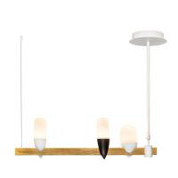 Подвесные светильники — Подвесной светильник LOFT IT 1028-3WH купить в 