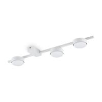 Накладные светильники — Накладной светильник Freya FR5363CL-03W купить в 