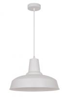 Подвесные светильники — Подвесной светильник Odeon Light 3362/1 купить в 