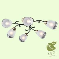 Люстры накладные — Накладная люстра Lussole GRLSP-9952 купить в  Люстры накладные — Накладная люстра Lussole GRLSP-9952 купить в