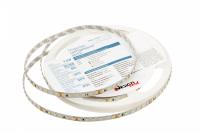 Светодиодные ленты — Лента DesignLed DSG3120-24-W-33 купить в 