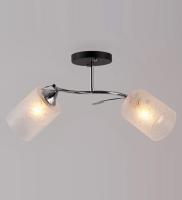 Потолочные люстры — 2469/2 белый с патиной золото купить в 