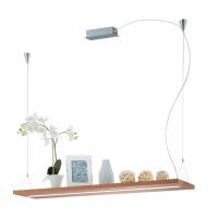 Подвесные светильники — Подвесной светильник EGLO 39328 купить в 