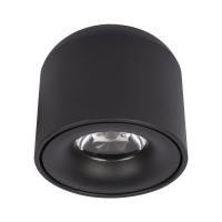 Накладные точечные светильники — Накладной светильник LOFT IT 10219 Black 4000K купить в  Накладные точечные светильники — Накладной светильник LOFT IT 10219 Black 4000K купить в