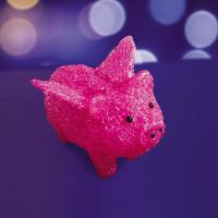 Светодиодные фигуры — Светодиодная фигура Neon-Night 513-342 купить в  Светодиодные фигуры — Светодиодная фигура Neon-Night 513-342 купить в