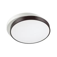 Накладные светильники — Накладной светильник LUMION 4509/72CL купить в  Накладные светильники — Накладной светильник LUMION 4509/72CL купить в