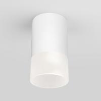 Накладные уличные светильники — Накладной уличный светильник Elektrostandard Light LED 2106 (35139/H) белый купить в  Накладные уличные светильники — Накладной уличный светильник Elektrostandard Light LED 2106 (35139/H) белый купить в