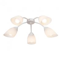 Люстры накладные — Накладная люстра Vitaluce V3194/5PL купить в 