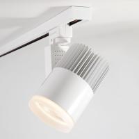 Трековые светильники — Светильник на шине Elektrostandard Accord Белый 30W 4200K (LTB20) купить в 