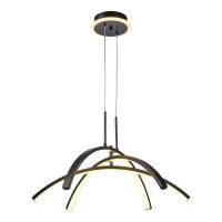 Подвесные светильники — Подвесной светильник Lussole LSP-7195 купить в 