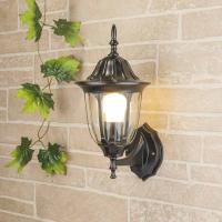 Уличные настенные светильники — Светильник настенный Elektrostandard GL 1002U черный купить в 