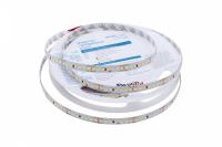 Светодиодные ленты — Лента DesignLed DSG2168-24-W-33 купить в 