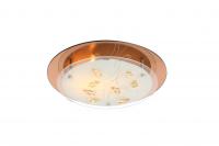 Накладные светильники — Накладной светильник Globo 40413-2 купить в 