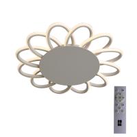 Накладные светильники — Накладной светильник ST-Luce SL828.502.12 купить в 