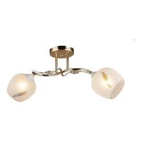 Потолочные люстры — Потолочная люстра Milosh Tendence 0658CL-2GD купить в  Потолочные люстры — Потолочная люстра Milosh Tendence 0658CL-2GD купить в