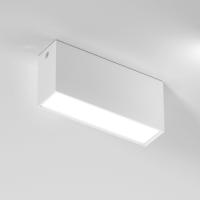 Накладные точечные светильники — Накладной светильник Elektrostandard 25109/LED 10W 4000K белый купить в  Накладные точечные светильники — Накладной светильник Elektrostandard 25109/LED 10W 4000K белый купить в