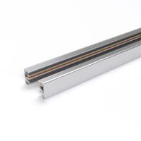 Шинопроводы — Шинопровод Elektrostandard TRL-1-1-100-CH/ Однофазный шинопровод серебристый (1м.) купить в  Шинопроводы — Шинопровод Elektrostandard TRL-1-1-100-CH/ Однофазный шинопровод серебристый (1м.) купить в