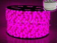 Дюралайт — Дюралайт Rich LED RL-DL-2WHM-100-240-P купить в 