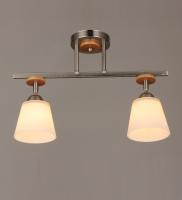 Потолочные люстры — 03193/2 хром купить в 