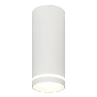 Потолочные светильники — Потолочный светодиодный светильник Escada 20009SMU/02LED SWH купить в  Потолочные светильники — Потолочный светодиодный светильник Escada 20009SMU/02LED SWH купить в