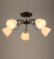 Потолочные люстры — 03359/5 черный купить в 