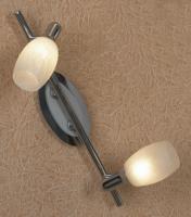 Споты — Спот Lussole LSL-8301-02 купить в  Споты — Спот Lussole LSL-8301-02 купить в