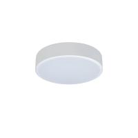 Накладные светильники — Накладной светильник LOFT IT 10002/12 White купить в 