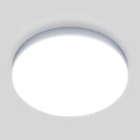 Накладные светильники — Накладной светильник Elektrostandard DLR043 10W 4200K купить в 