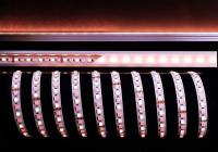 Светодиодные ленты — Лента светодиодная Deko-Light 5050-96-24V-RGB+3000K-5m 840144 купить в  Светодиодные ленты — Лента светодиодная Deko-Light 5050-96-24V-RGB+3000K-5m 840144 купить в