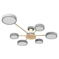 Накладные светильники — Накладной светильник LOFT IT 10316/6 Grey купить в 