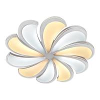 Потолочные светильники — Потолочный светодиодный светильник Escada 10204/10LED купить в  Потолочные светильники — Потолочный светодиодный светильник Escada 10204/10LED купить в