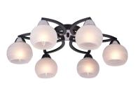 Люстры накладные — Накладная люстра TOPLIGHT TL3730X-06BC купить в  Люстры накладные — Накладная люстра TOPLIGHT TL3730X-06BC купить в