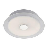 Накладные светильники — Накладной светильник ST-Luce SL471.502.01 купить в 