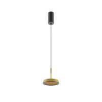 Подвесные светильники — Подвесной светильник Maytoni MOD041PL-L15G3K купить в 