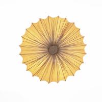 Накладные светильники — Накладной светильник ST-Luce SL351.072.05 купить в 