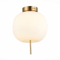 Накладные светильники — Накладной светильник ST-Luce SL1621.202.01 купить в 